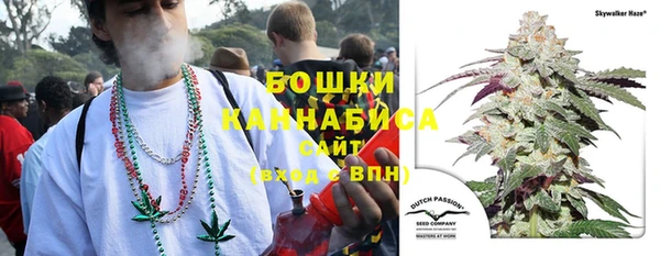 ALPHA-PVP Краснослободск