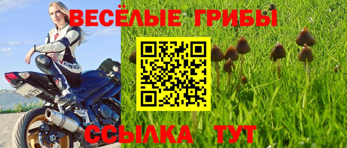 как найти   Серов  Псилоцибиновые грибы MAGIC MUSHROOMS 