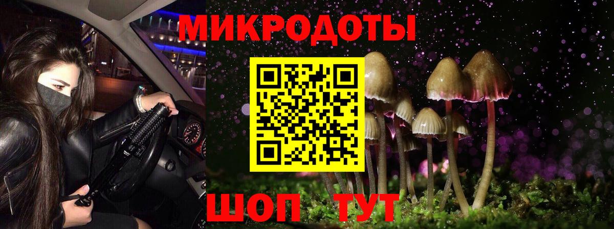 Псилоцибиновые грибы мухоморы  Вход с VPN  Серов 